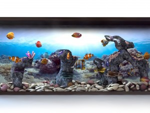 aquarium 3D 모델