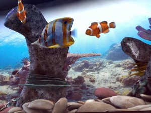 aquarium 3D 모델