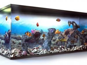 aquarium 3D 모델