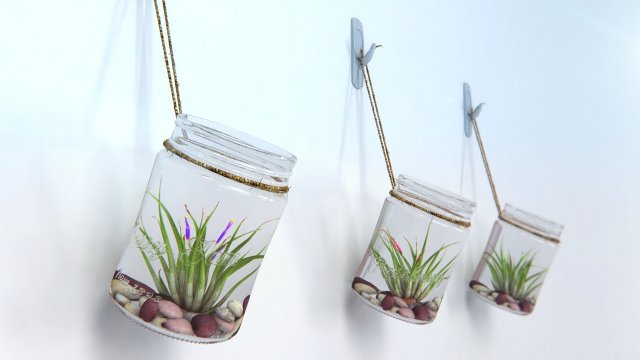 air plant wall decor 3Dモデル .c4d .max .obj .3ds .fbx .stl .blend 