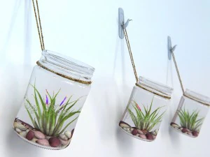 dekorasi dinding tanaman udara Model 3D