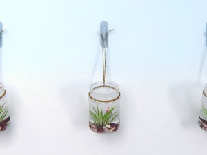 air plant wall decor 3Dモデル