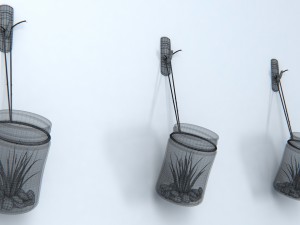 air plant wall decor 3Dモデル