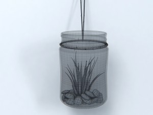 air plant wall decor 3Dモデル