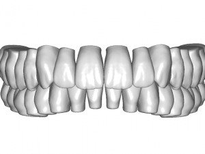 dental anatomy teeth library - indigo 3D Модель