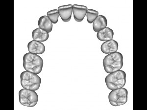 dental anatomy teeth library - indigo 3D Модель