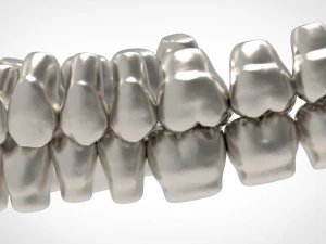 dental anatomy library with thimble crowns - azure 3D Print Model