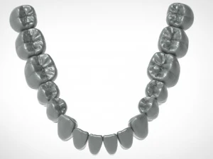 dental anatomy library with thimble crowns - azure 3D Print Model
