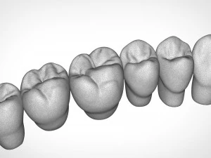 dental anatomy library with thimble crowns - azure 3D Print Model