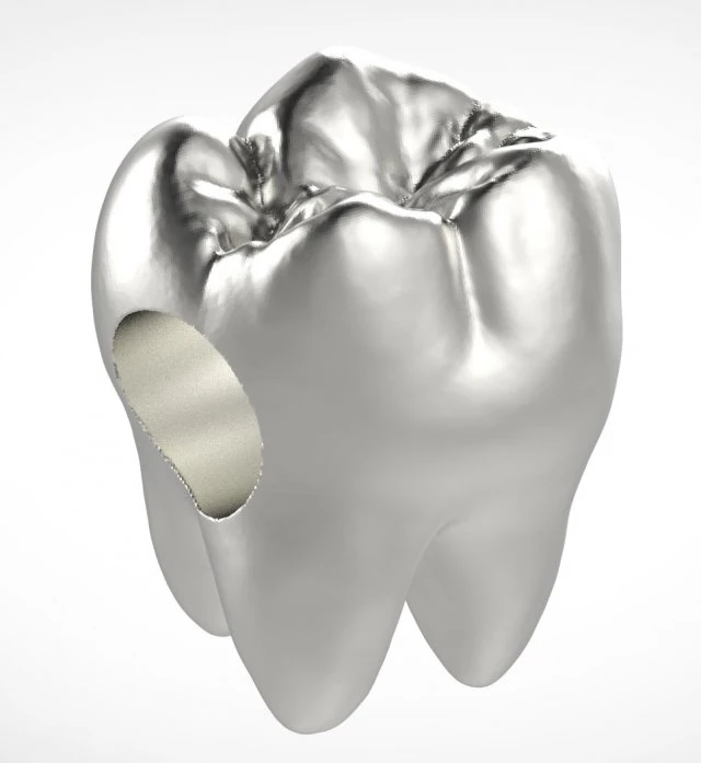 pandora tooth charm 3D Print Model .c4d .max .obj .3ds .fbx .stl .blend 