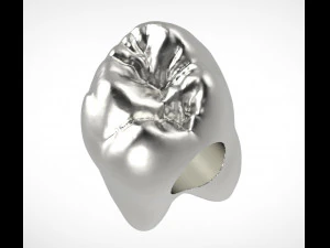 pandora tooth charm 3D Print Model