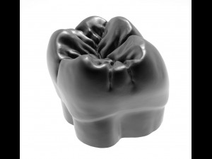 molar tooth for 3d printing 3D Принт Модель