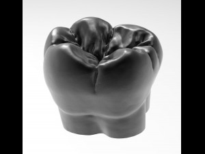 molar tooth for 3d printing 3D Принт Модель