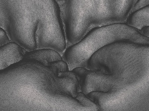 molar tooth for 3d printing 3D Принт Модель