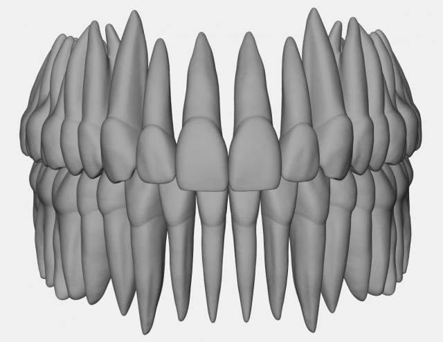 azure upper and lower jaw dental anatomy with roots 3D Model .c4d .max .obj .3ds .fbx .stl .blend 