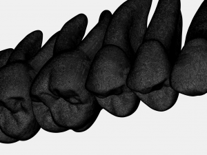 azure upper and lower jaw dental anatomy with roots 3D Model