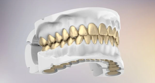 3D Dental Jaws Replica with Detachable Teeth 3D Print Model .c4d .max .obj .3ds .fbx .stl .blend 