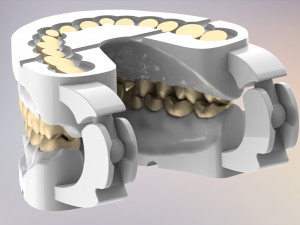3D Dental Jaws Replica with Detachable Teeth Modèles 3D en vedette