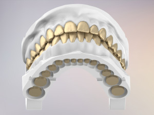 3D Dental Jaws Replica with Detachable Teeth Modèles 3D en vedette