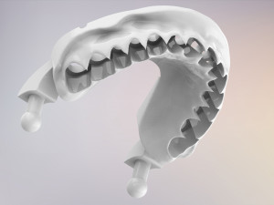 3D Dental Jaws Replica with Detachable Teeth Modèles 3D en vedette