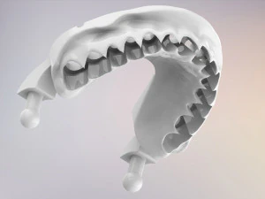3D Dental Jaws Replica with Detachable Teeth 3D Print Model