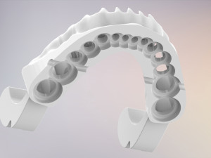 3D Dental Jaws Replica with Detachable Teeth Modèles 3D en vedette