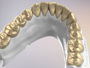 3D Dental Jaws Replica with Detachable Teeth Modèles 3D en vedette