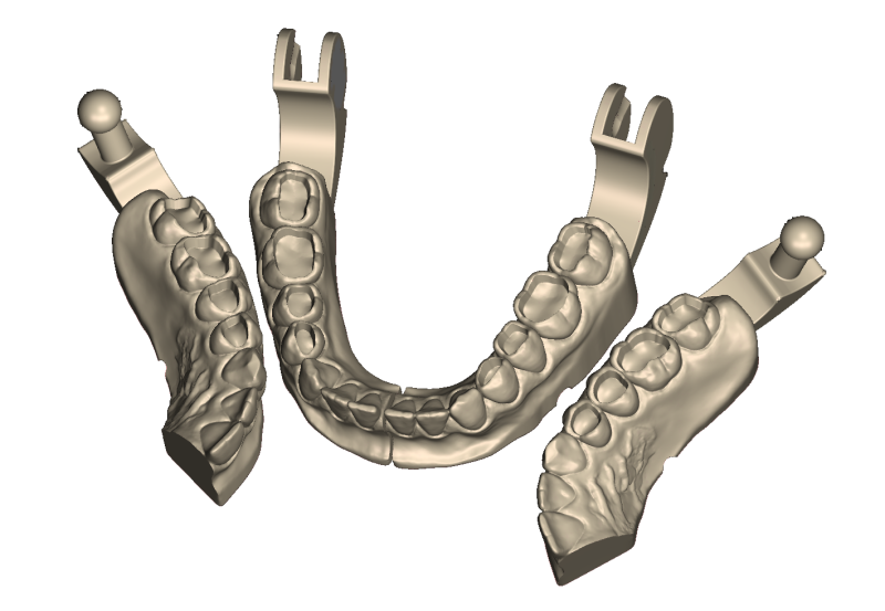 Dental Practice Model Kit 3D Print Model .c4d .max .obj .3ds .fbx .stl .blend 