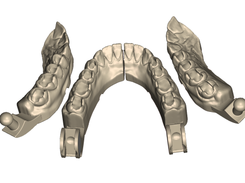 Dental Practice Model Kit 3D Print Model