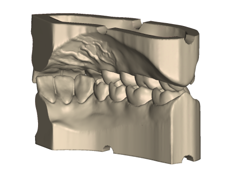 Dental Practice Model Kit 3D Print Model