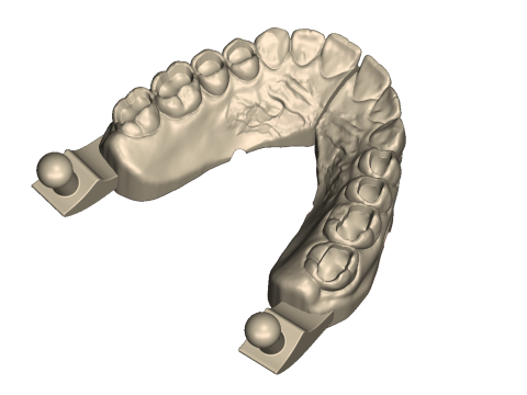 Dental Practice Model Kit 3D Print Model