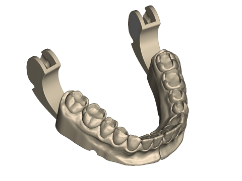 Dental Practice Model Kit 3D Print Model