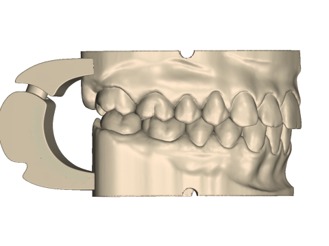 Dental Practice Model Kit 3D Print Model