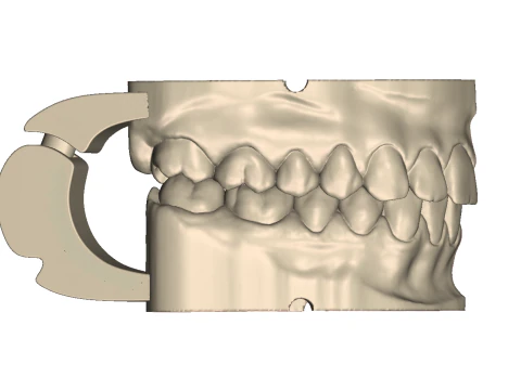 Dental Practice Model Kit 3D Print Model