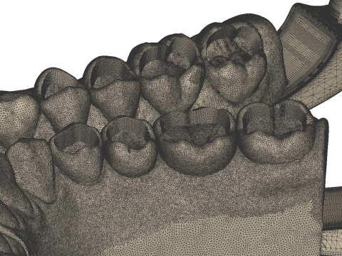Dental Practice Model Kit 3D Print Model