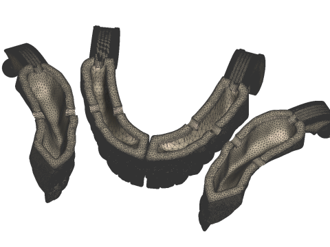 Dental Practice Model Kit 3D Print Model