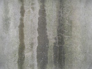 concrete texture CG Dokuları