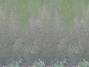 concrete texture CG Dokuları
