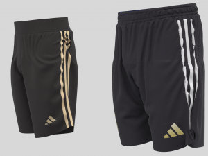 GERMANY 22 AWAY Home JERSEY WORLD CUP 2022 - CLO MD 3D Model