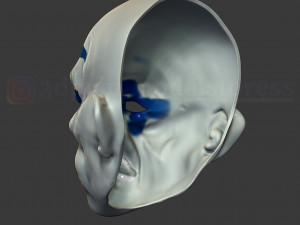henchmen dark knight clown joker mask costume helmet 3D 打印模型