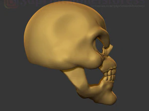 skeletor mask 1980 he-man costume cosplay helmet stl file 3d print model 3D Print Model