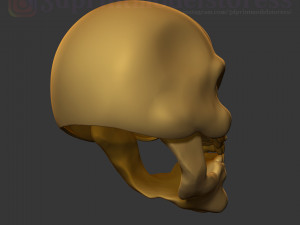 skeletor mask 1980 he-man costume cosplay helmet stl file 3d print model 3D 프린트 모델