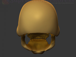 skeletor mask 1980 he-man costume cosplay helmet stl file 3d print model 3D 프린트 모델