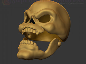 skeletor mask 1980 he-man costume cosplay helmet stl file 3d print model 3D 프린트 모델