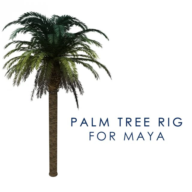 palm tree rigged for maya hd 3D Model .c4d .max .obj .3ds .fbx .stl .blend 