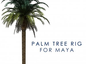 palm tree rigged for maya hd 3D-Modell
