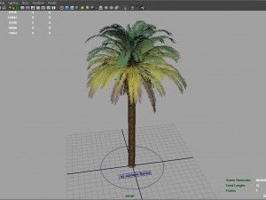 palm tree rigged for maya hd 3D Model