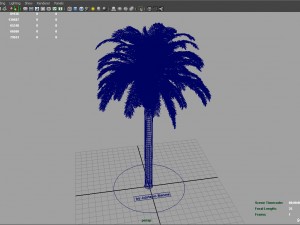 palm tree rigged for maya hd 3D Model