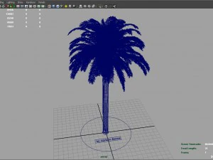 palm tree rigged for maya hd 3D Model
