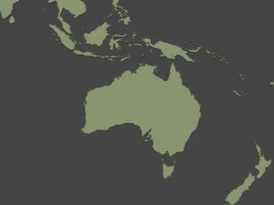 3d map - world planisphere 3D Model